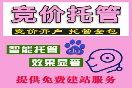深度解析：百度竞价广告的投放效果与ROI